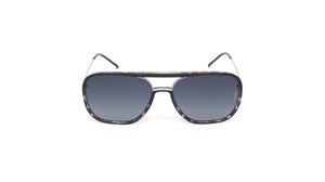 Kingsley (Black Tortoise)