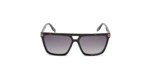 Flame (Flame - Tortoise)