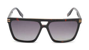 Flame (Flame - Tortoise)