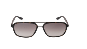 Voyager (Black-Tortoise)