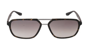 Voyager (Black-Tortoise)