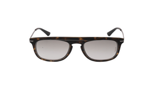 Brookly (Black Tortoise)