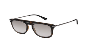 Brookly (Black Tortoise)